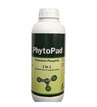 PhytoPad