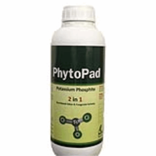PhytoPad
